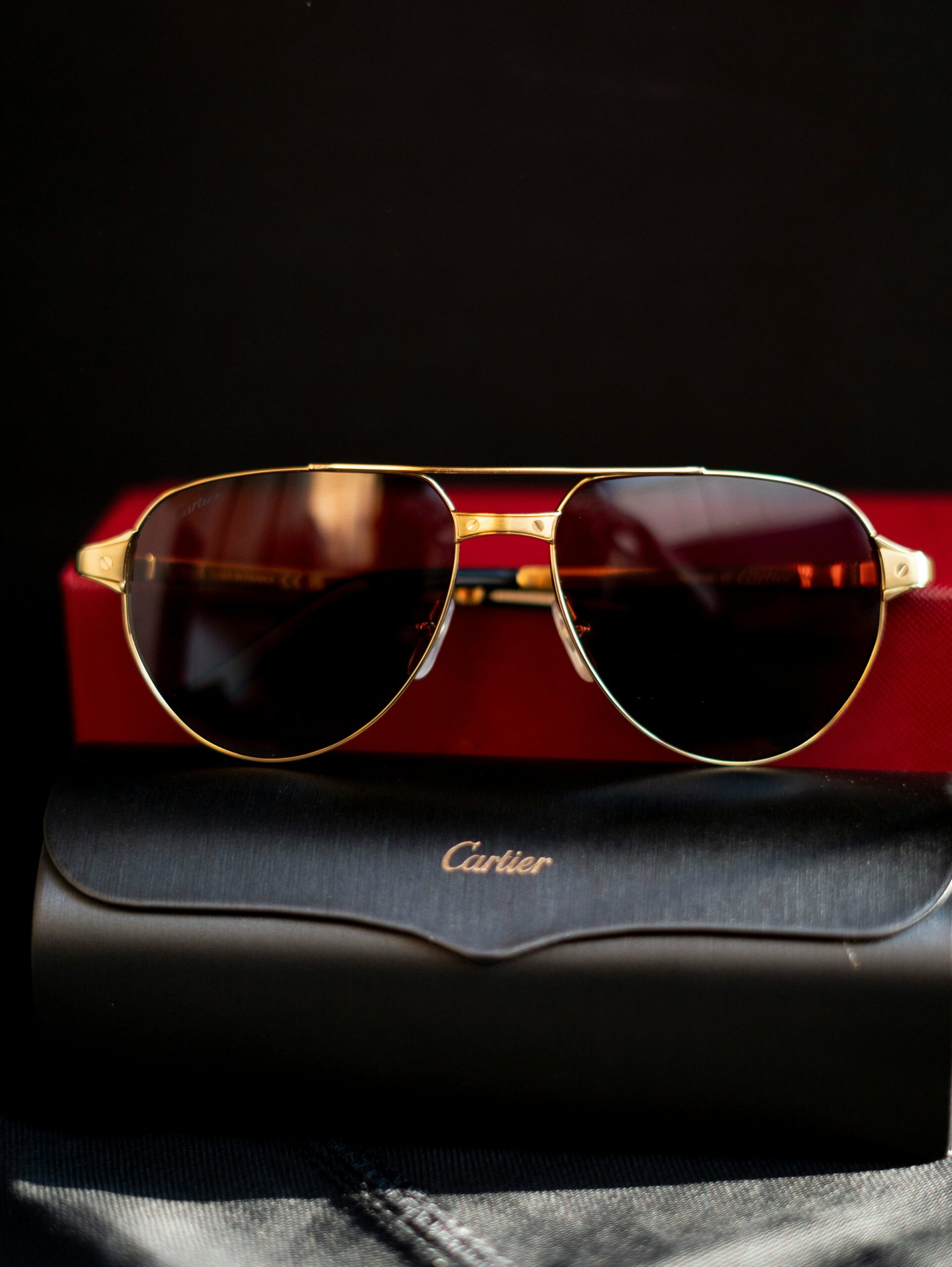 Cartier modello CT0425S Occhiali vintage Cartier modello CT0425S della collezione Santos de Cartier - GLEYEWEAR.COM